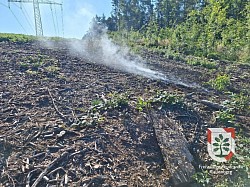 Brand 1